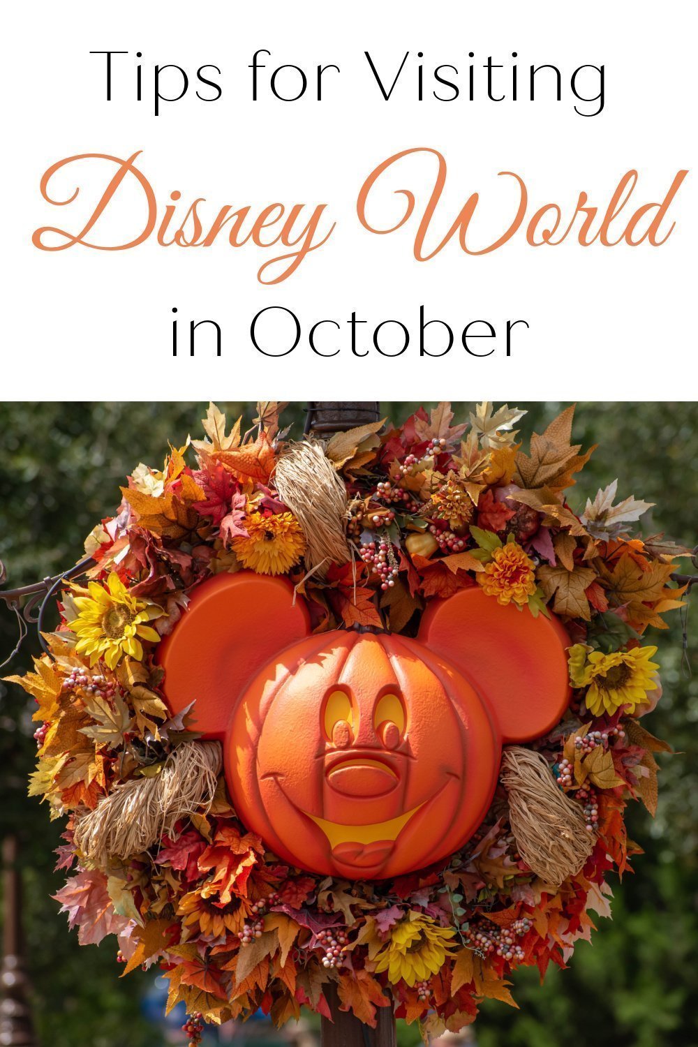 Tips for Visiting Disney World in October